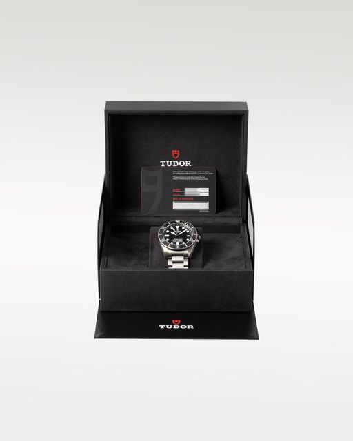 Tudor Pelagos 25600TN Image 5